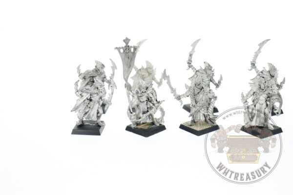 Dark Elf Corsairs