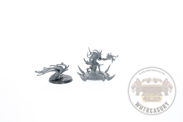 Herald of Tzeentch on Disc