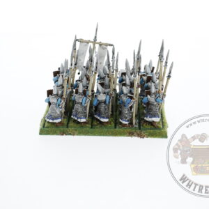 High Elf Warriors Regiment