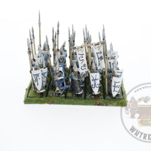 High Elf Warriors Regiment