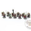 Dark Elf Corsairs