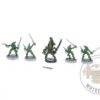 Eldar Striking Scorpions & Karandras