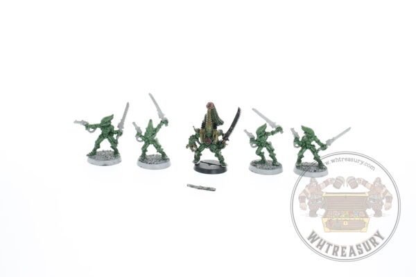 Eldar Striking Scorpions & Karandras