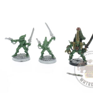 Eldar Striking Scorpions & Karandras