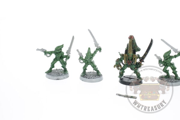 Eldar Striking Scorpions & Karandras