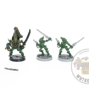 Eldar Striking Scorpions & Karandras