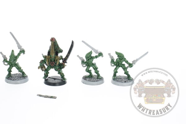 Eldar Striking Scorpions & Karandras