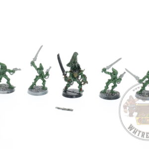 Eldar Striking Scorpions & Karandras