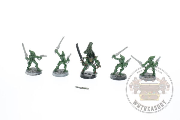 Eldar Striking Scorpions & Karandras