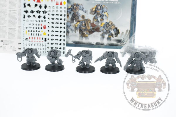 Space Wolves Wolf Guard Terminators