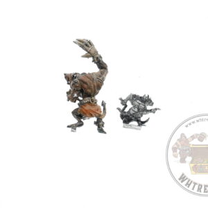 Skaven Rat Ogre & Packmaster