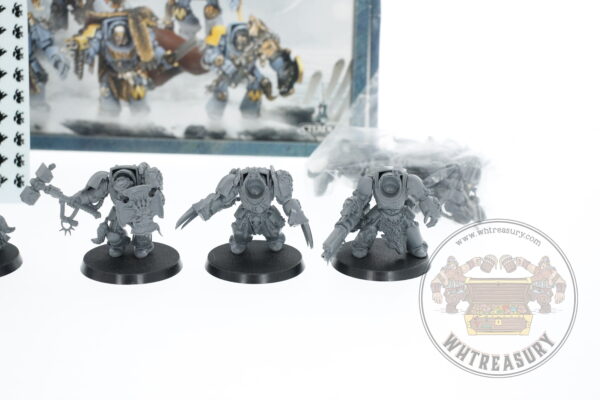 Space Wolves Wolf Guard Terminators