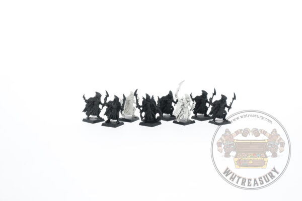 Dark Elf Corsairs