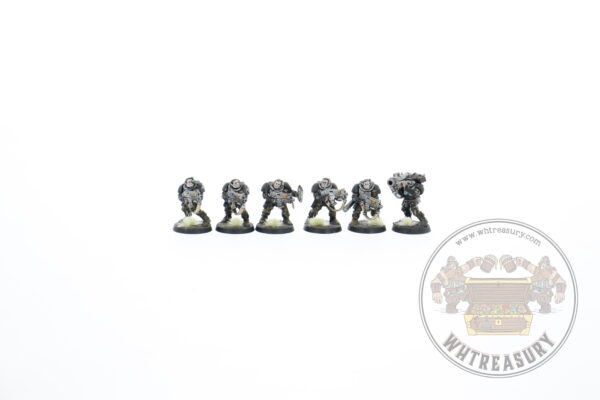 Raven Guard Scouts