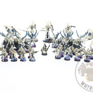 Studio Painted Eldar Exodites Army