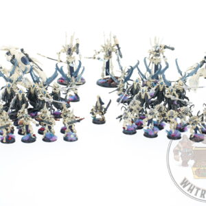 Studio Painted Eldar Exodites Army