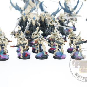 Studio Painted Eldar Exodites Army