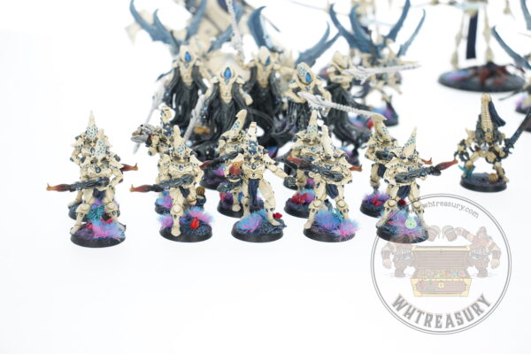 Studio Painted Eldar Exodites Army