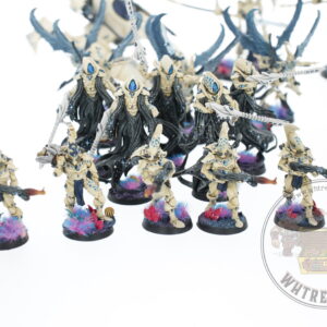 Studio Painted Eldar Exodites Army