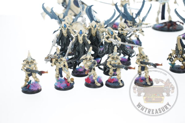 Studio Painted Eldar Exodites Army