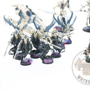 Studio Painted Eldar Exodites Army