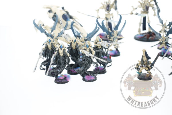 Studio Painted Eldar Exodites Army