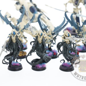 Studio Painted Eldar Exodites Army