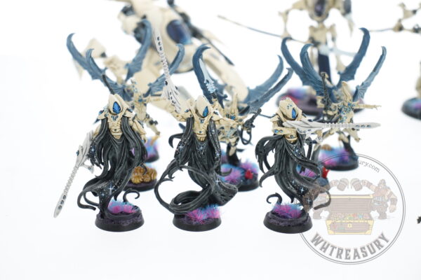 Studio Painted Eldar Exodites Army