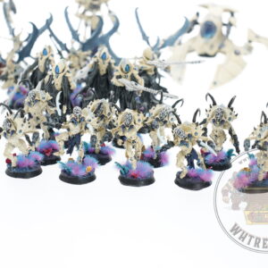 Studio Painted Eldar Exodites Army