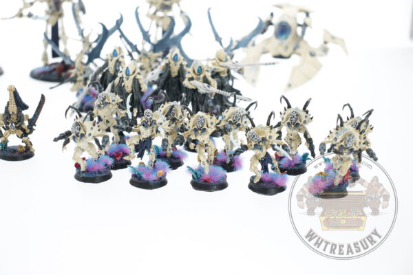 Studio Painted Eldar Exodites Army