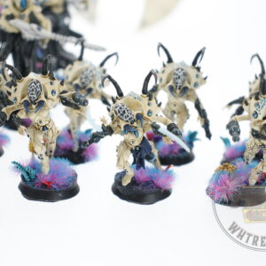 Studio Painted Eldar Exodites Army