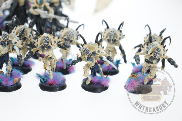 Studio Painted Eldar Exodites Army