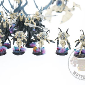 Studio Painted Eldar Exodites Army