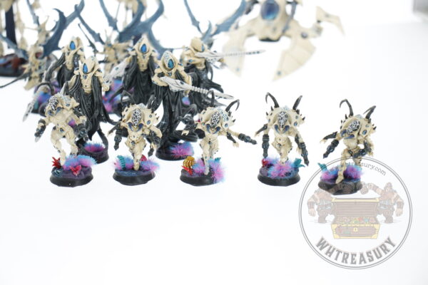 Studio Painted Eldar Exodites Army