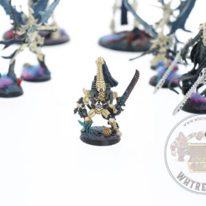 Studio Painted Eldar Exodites Army