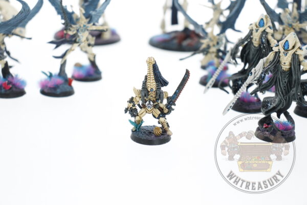 Studio Painted Eldar Exodites Army