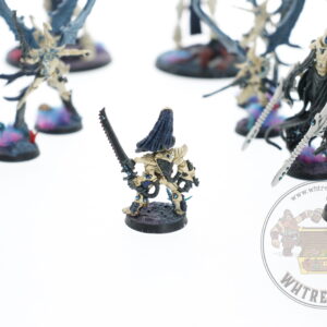 Studio Painted Eldar Exodites Army