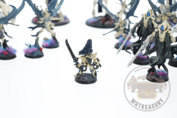 Studio Painted Eldar Exodites Army