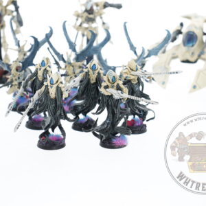 Studio Painted Eldar Exodites Army