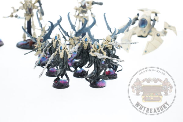 Studio Painted Eldar Exodites Army