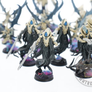 Studio Painted Eldar Exodites Army