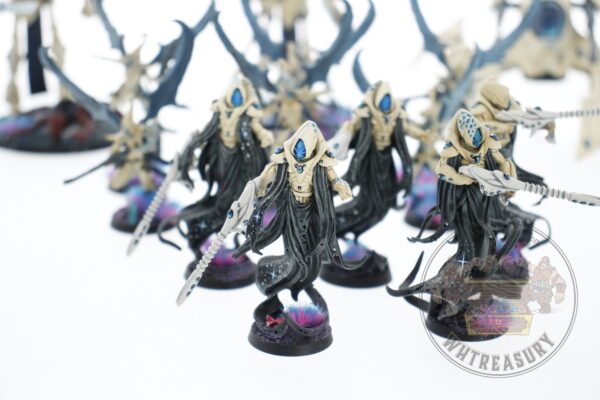 Studio Painted Eldar Exodites Army