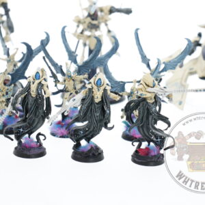 Studio Painted Eldar Exodites Army