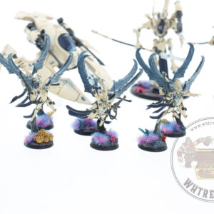 Studio Painted Eldar Exodites Army