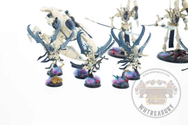 Studio Painted Eldar Exodites Army