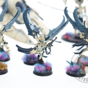 Studio Painted Eldar Exodites Army