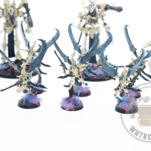 Studio Painted Eldar Exodites Army