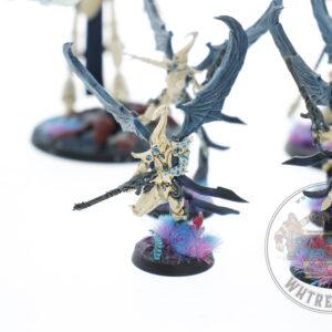 Studio Painted Eldar Exodites Army