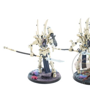 Studio Painted Eldar Exodites Army