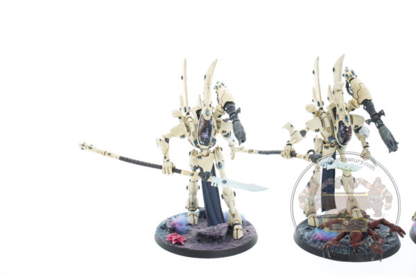 Studio Painted Eldar Exodites Army